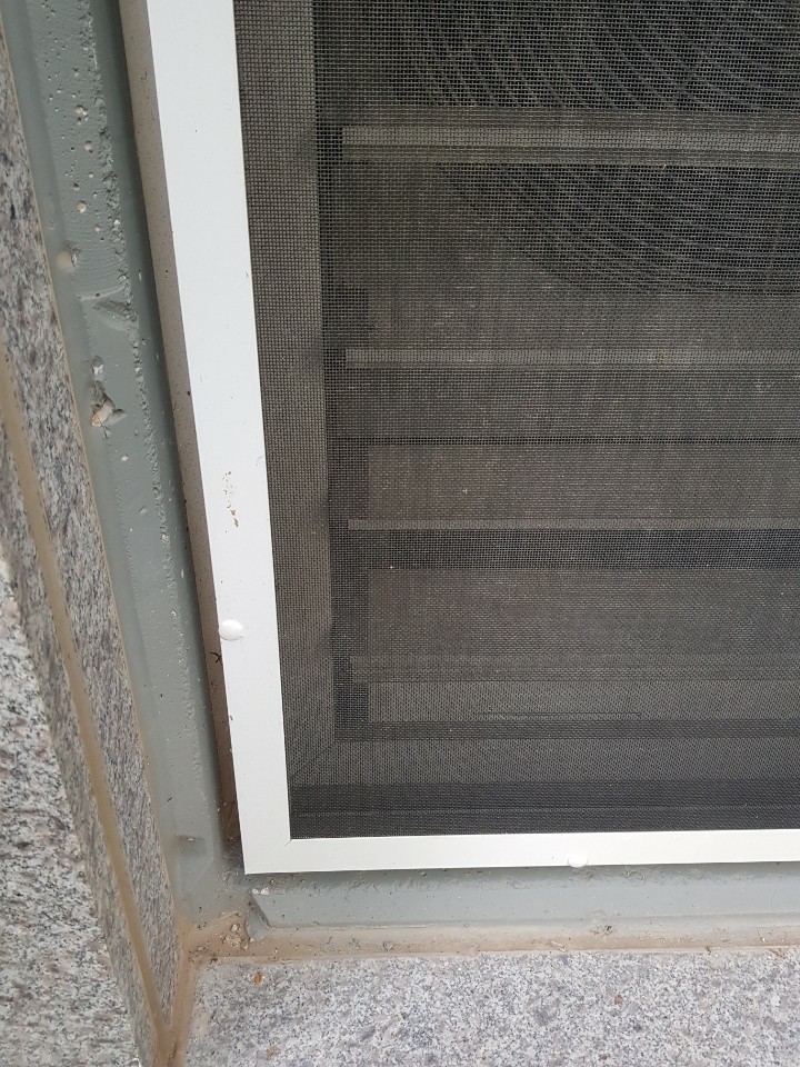 2038599400_IW5TDqFv_6997f975c98428cd77b8211225d26cb4ca88e3d3.jpg 이미지크게보기