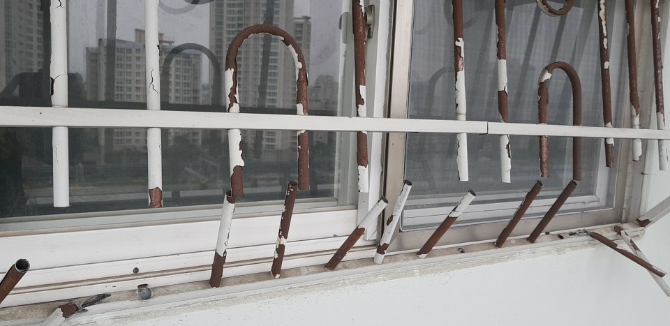 2038599400_SAtVC8Hg_15085e0b5be1d3ab8db5b4069d0a80f3fa944d29.jpg 이미지크게보기